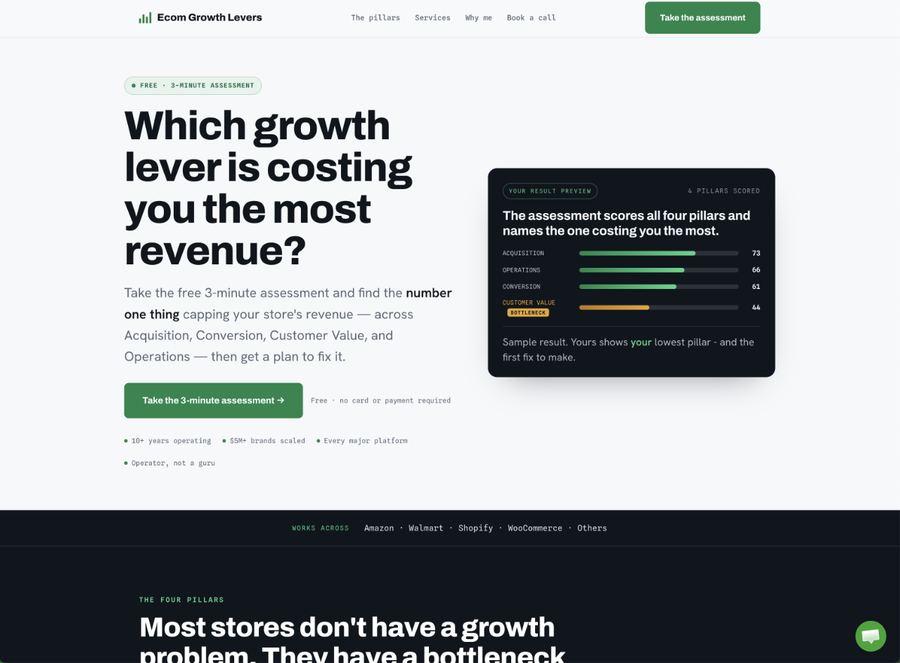 Ecom Growth Levers homepage screenshot